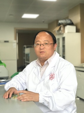 1XBET·体育创新论坛第一千二百四十四讲暨120周年校庆年系列活动：碳（13C,14C）同位素标记技术在稻田土壤碳循环研究中的应用案例