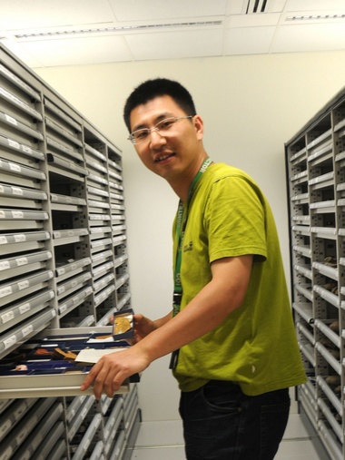 1XBET·体育创新论坛第一千八百零一讲：虫鸣凤舞伴花香：现代陆地生态系统的起源