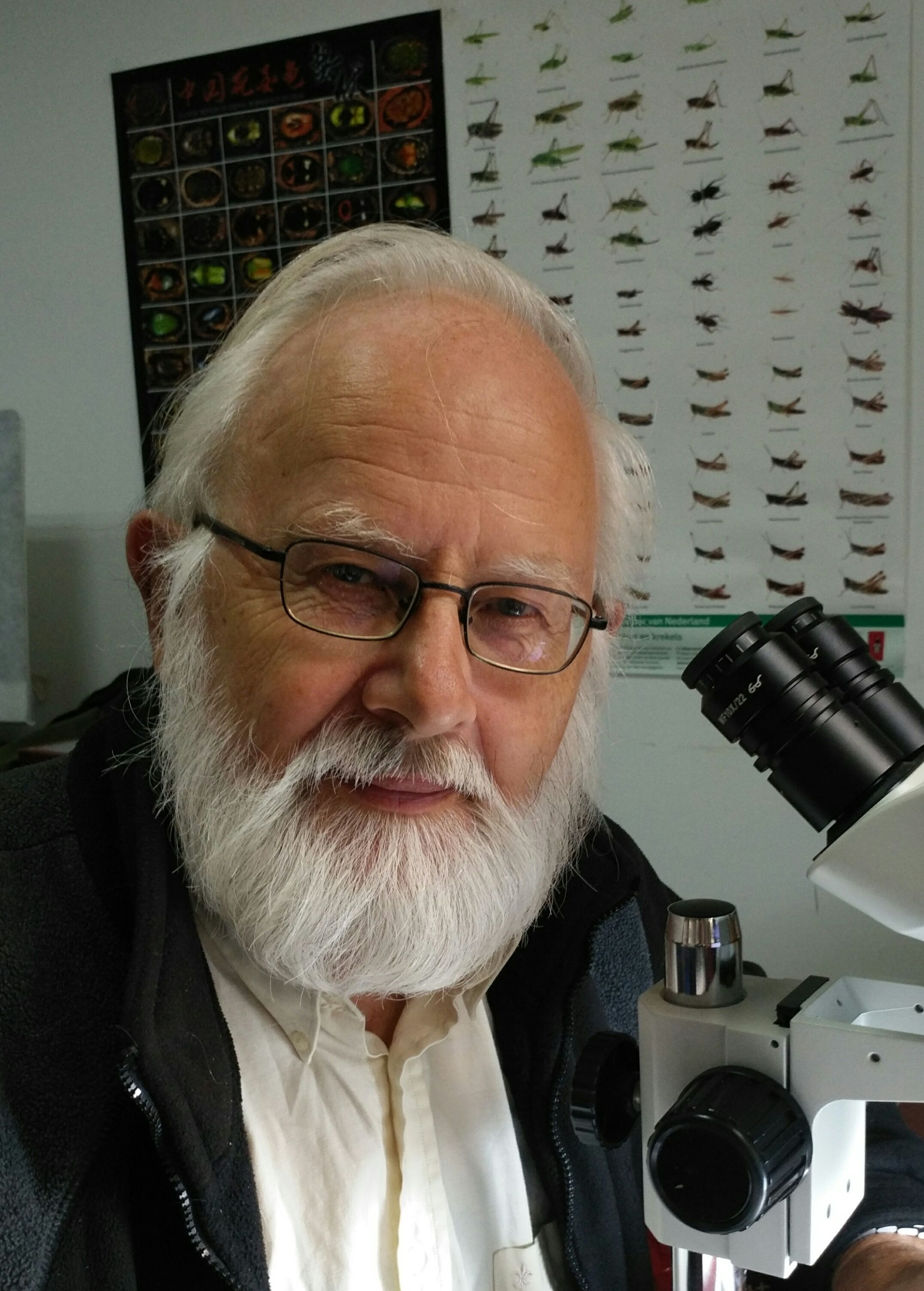 1XBET·体育创新论坛第八百零九讲暨校庆117周年学术讲座：Parasite rex: the unknown diversity of parasitoid wasps